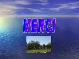 Expertise stratégique des associations