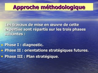Approche méthodologique


    Les travaux de mise en œuvre de cette
    expertise sont répartis sur les trois phases
    suivantes :

•   Phase I : diagnostic.
•   Phase II : orientations stratégiques futures.
•   Phase III : Plan stratégique.
 