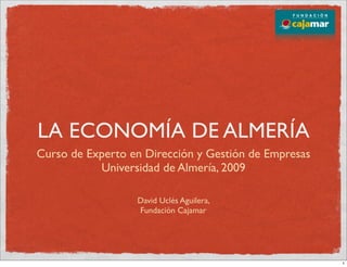 LA ECONOMÍA DE ALMERÍA
Curso de Experto en Dirección y Gestión de Empresas
           Universidad de Almería, 2009

                  David Uclés Aguilera,
                  Fundación Cajamar




                                                      1
 