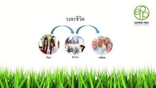 Expertpro powerpoint 