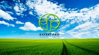 Expertpro powerpoint 