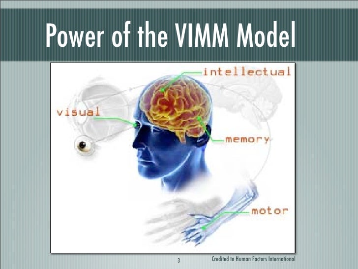 Conducting Expert Reviews Using the VIMM Model