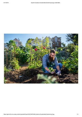 9/11/2018 Expert’s-Guide-to-Sustainable-Gardening-6.jpg (1200×800)
https://gemmill.com.au/wp-content/uploads/Expert%E2%80%99s-Guide-to-Sustainable-Gardening-6.jpg 1/1
 