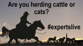 Are you herding cattle or
cats?
#expertslive
Source : http://theemarketingblog.blogs.lamp.elliance.com/wp-content/uploads/sites/2/2015/01/herding-cats.jpg
 