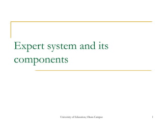 Expert system and its
components
University of Education, Okara Campus 1
 