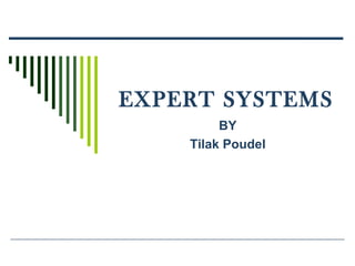 EXPERT SYSTEMS
BY
Tilak Poudel
 