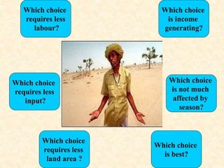 Which choice
is best?
Which choice
is income
generating?
Which choice
requires less
labour?
Which choice
requires less
land area ?
Which choice
is not much
affected by
season?
Which choice
requires less
input?
Fisheries
Crops
Fruits
Piggerey
Flowers
Poultry
Dairy
Bee
keeping
 