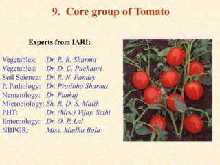 9. Core group of Tomato
Experts from IARI:
Vegetables: Dr. R. R. Sharma
Vegetables: Dr. D. C. Pachauri
Soil Science: Dr. R. N. Pandey
P. Pathology: Dr. Pratibha Sharma
Nematology: Dr. Pankaj
Microbiology: Sh. R. D. S. Malik
PHT: Dr. (Mrs.) Vijay. Sethi
Entomology: Dr. O. P. Lal
NBPGR: Miss. Madhu Bala
 