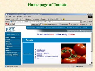 Home page of Tomato
 