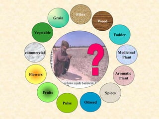 OilseedPulse
Fruits
Vegetable
Flowers
Fodder
Fiber
Grain
Spices
Wood
Aromatic
Plant
Medicinal
Plant
commercial
 