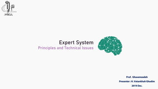 Principles and Technical Issues
Expert System
 