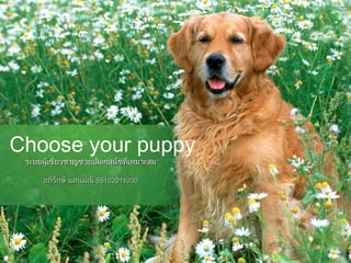 Choose your puppy
ระบบผู้เชี่ยวชาญช่วยเลือกสุนัขที่เหมาะสมระบบผู้เชี่ยวชาญช่วยเลือกสุนัขที่เหมาะสม
อภิรักษ์ แดนมณีอภิรักษ์ แดนมณี 5510201103055102011030
 