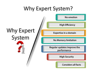 Why Expert System?
 