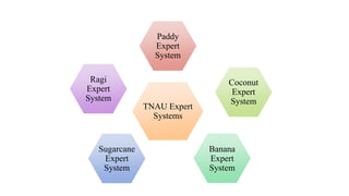 Expert System & MIS.pptx