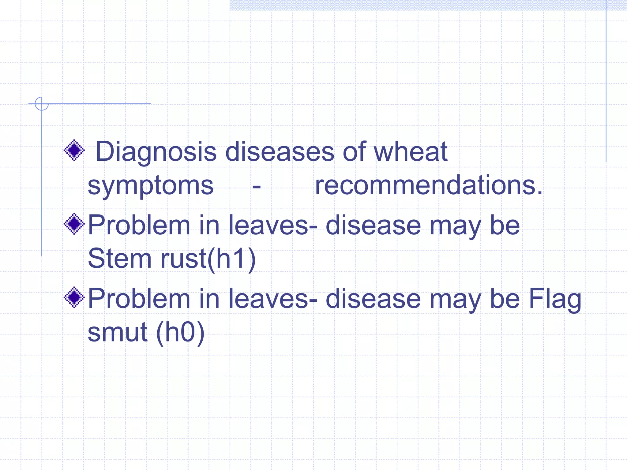 Diagnosis diseases of wheat 
symptoms - recommendations. 
Problem in leaves- disease may be 
Stem rust(h1) 
Problem in leaves- disease may be Flag 
smut (h0) 
 