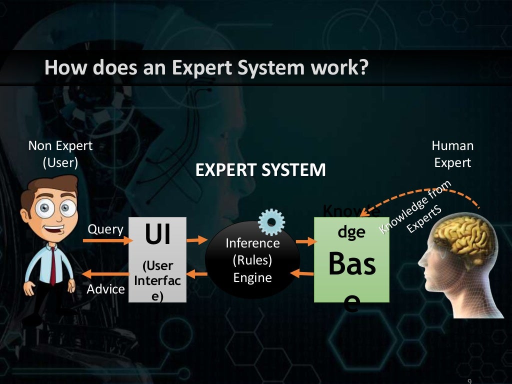 Expert system presentation