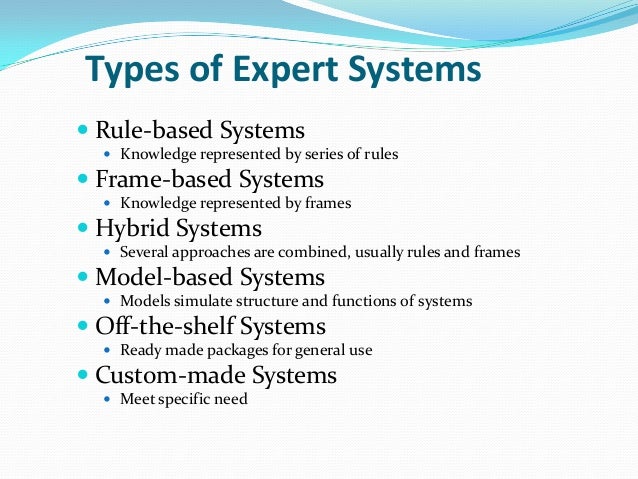 expert system