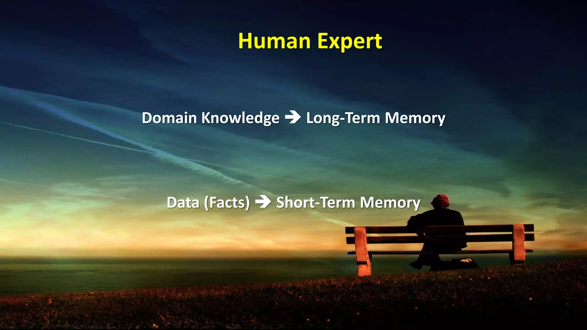 Domain Knowledge  Long-Term Memory
Data (Facts)  Short-Term Memory
Human Expert
 