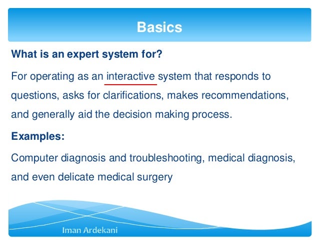 expert system