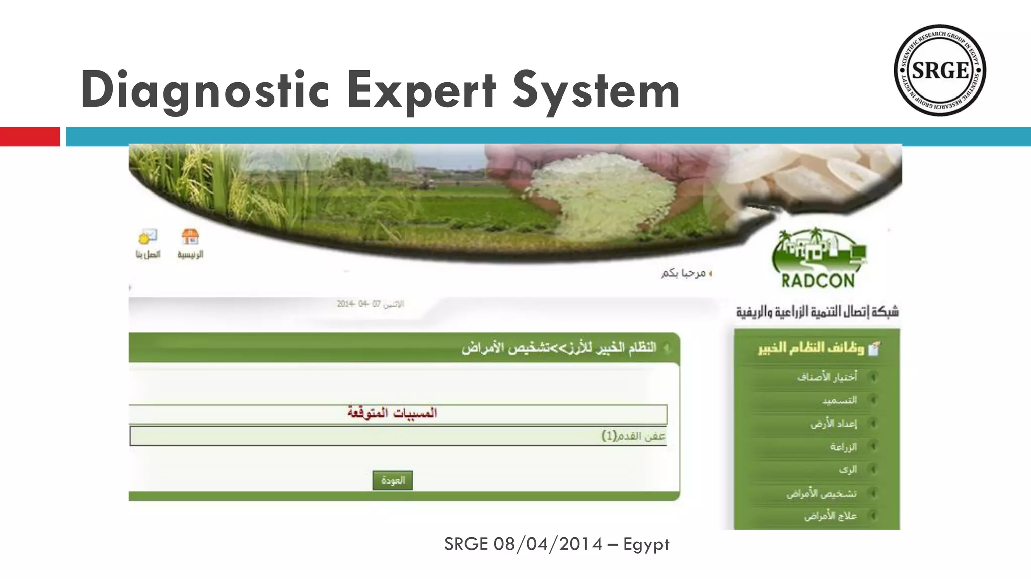 Diagnostic Expert System
SRGE 08/04/2014 – Egypt
 