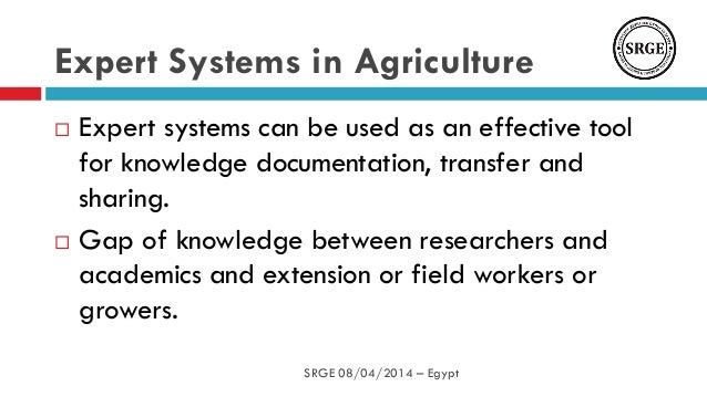 expert system