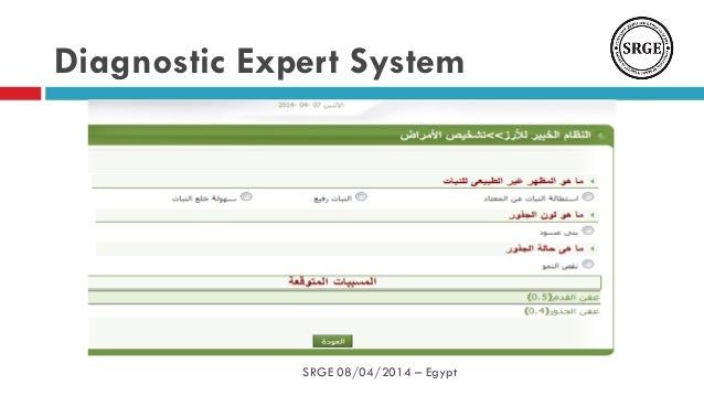 expert system