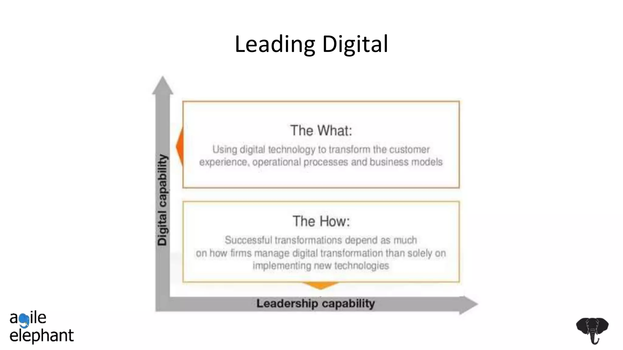 Leading Digital
 