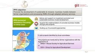 Page 16
12 pilot projects identified by local committees.
The projects are mainly led by farmer organisations with the
legal forms of:
 SMSA = Mutual Society for Agricultural Services
or
 GDA = Group for Agricultural Development
Advice and support on investment promotion and
sustainable business model development.
Support the implementation of concrete business models
through pilot projects.
Scaling up of successful approaches.
IPFA objective:
Promote the development of sustainable & inclusive business models between
farmer organisations and processing SMEs through adapted advisory services.
IPFA technical
assistance focusing
on three axes
 