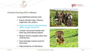 Page 29
Contract Farming (CF) in Malawi
Contract Farming Promotion in Malawi05.09.2018
Long established schemes exist:
 Export oriented crops: Tobacco,
sugarcane, tea, (cotton)
 Small and medium-scale enterprises
(SME): largely informal CF
 „Closed“/ structured markets with
fewer big (international) players
 Medium farmers targeted rather than
small farmers
 Input packages include inputs for
food crops
 High prevalence of child labour
 