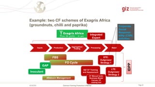 Page 32
Example: two CF schemes of Exagris Africa
(groundnuts, chilli and paprika)
Contract Farming Promotion in Malawi05.09.2018
Inputs Production
Aggregation/
Trading
Processing Retail
Integrated
Expert
FBS
FO Cycle
Aflatoxin Management
Inoculant
STE:
Outgrower
Strategy 1
IDPP
GIZ CF Training
and Assessment
LTE:
Outgrower
Strategy 2
CF Manual tools:
Business Model
Canvas, CF
costing tool
GAP
Corporate
Social
Responsi-
bility (CSR)
activities
 
