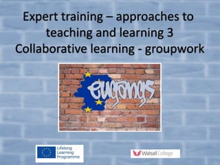 Expert training – approaches to 
teaching and learning 3 
Collaborative learning - groupwork 
 