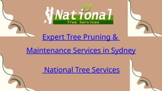 Expert Tree Pruning & Maintenance Services in Sydney | PPTX