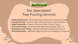 Expert Tree Pruning & Maintenance Services in Sydney | PPTX