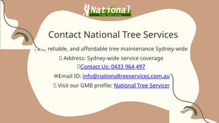 Expert Tree Pruning & Maintenance Services in Sydney | PPTX