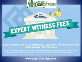 www.expertrewitness.com
 