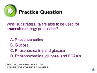 Practice Question What substrate(s) is/are able to be used for anaerobic  energy production? A. Phosphocreatine B. Glucose C. Phosphocreatine and glucose D. Phosphocreatine, glucose, and BCAA’s SEE YELLOW PAGE AT END OF MANUAL FOR CORRECT ANSWERS. 