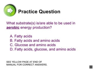 Practice Question What substrate(s) is/are able to be used in  aerobic  energy production? A. Fatty acids B. Fatty acids and amino acids C. Glucose and amino acids D. Fatty acids, glucose, and amino acids  SEE YELLOW PAGE AT END OF MANUAL FOR CORRECT ANSWERS. 