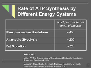Rate of ATP Synthesis by Different Energy Systems References:   Miller, W. The Biochemistry of Exercise and Metabolic Adaptation. Brown and Benchmark, 1992  Maughan, R and Burke, L. Sports Nutrition: Handbook of Sports Medicine and Science. Blackwell Science, 2002. ≈   20 Fat Oxidation ≈   200 Anaerobic Glycolysis ≈  450 Phosphocreatine Breakdown µmol per minute per gram of muscle 