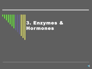 3. Enzymes & Hormones 