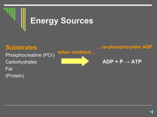 Energy Sources Substrates Phosphocreatine (PCr) Carbohydrates  Fat  (Protein) when oxidized… … re-phosphorylate ADP ADP + P  -> ATP 
