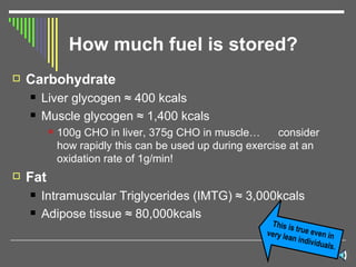How much fuel is stored? Carbohydrate Liver glycogen  ≈  400 kcals  Muscle glycogen  ≈ 1,400 kcals 100g CHO in liver, 375g CHO in muscle…  consider how rapidly this can be used up during exercise at an oxidation rate of 1g/min! Fat Intramuscular Triglycerides (IMTG)  ≈ 3,000kcals Adipose tissue ≈ 80,000kcals This is true even in very lean individuals. 