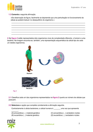 2www.raizeditora.pt
Exploratório - 9.º ano
1.3 Comenta a seguinte afirmação:
«Da observação da figura, facilmente se depreende que uma perturbação no funcionamento da
célula se poderá traduzir no desequilíbrio do organismo.»
_____________________________________________________________________________
_____________________________________________________________________________
_____________________________________________________________________________
_____________________________________________________________________________
_____________________________________________________________________________
_____________________________________________________________________________
2.Na figura 2 estão representados dois organismos vivos de complexidade diferente, o homem e uma
bactéria. Na imagem encontra-se, também, uma representação esquemática da célula tipo de cada
um destes organismos.
2.1 Classifica cada um dos organismos representados na figura 2 quanto ao número de células que
possuem.
_____________________________________________________________________________
2.2 Seleciona a opção que completa corretamente a afirmação seguinte.
Contrariamente à célula bacteriana, a célula humana é _______ uma vez que apresenta
_______.
(A) procariótica (...) material genético (C) procariótica (...) verdadeiro núcleo
(B) eucariótica (...) material genético (D) eucariótica (...) verdadeiro núcleo
Fig. 2
Homem
Bactéria
 