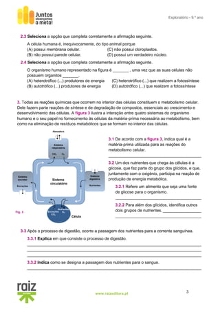3www.raizeditora.pt
Exploratório - 9.º ano
2.3 Seleciona a opção que completa corretamente a afirmação seguinte.
A célula humana é, inequivocamente, do tipo animal porque
(A) possui membrana celular. (C) não possui cloroplastos.
(B) não possui parede celular. (D) possui um verdadeiro núcleo.
2.4 Seleciona a opção que completa corretamente a afirmação seguinte.
O organismo humano representado na figura é _______ , uma vez que as suas células não
possuem organitos _______.
(A) heterotrófico (...) produtores de energia (C) heterotrófico (...) que realizem a fotossíntese
(B) autotrófico (...) produtores de energia (D) autotrófico (...) que realizem a fotossíntese
3. Todas as reações químicas que ocorrem no interior das células constituem o metabolismo celular.
Dele fazem parte reações de síntese e de degradação de compostos, essenciais ao crescimento e
desenvolvimento das células. A figura 3 ilustra a interação entre quatro sistemas do organismo
humano e o seu papel no fornecimento às células da matéria-prima necessária ao metabolismo, bem
como na eliminação de resíduos metabólicos que se formam no interior das células.
3.1 De acordo com a figura 3, indica qual é a
matéria-prima utilizada para as reações do
metabolismo celular.
_________________________________________
3.2 Um dos nutrientes que chega às células é a
glicose, que faz parte do grupo dos glícidos, e que,
juntamente com o oxigénio, participa na reação de
produção de energia metabólica.
3.2.1 Refere um alimento que seja uma fonte
de glicose para o organismo.
______________________________________
3.2.2 Para além dos glícidos, identifica outros
dois grupos de nutrientes. _________________
______________________________________
3.3 Após o processo de digestão, ocorre a passagem dos nutrientes para a corrente sanguínea.
3.3.1 Explica em que consiste o processo de digestão.
_____________________________________________________________________________
_____________________________________________________________________________
_____________________________________________________________________________
3.3.2 Indica como se designa a passagem dos nutrientes para o sangue.
_____________________________________________________________________________
Fig. 3
 