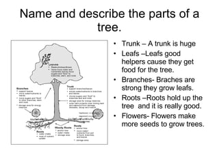Name and describe the parts of a tree. Trunk – A trunk is huge Leafs –Leafs good helpers cause they get food for the tree.  Branches- Braches are strong they grow leafs. Roots –Roots hold up the tree  and it is really good. Flowers- Flowers make more seeds to grow trees. 