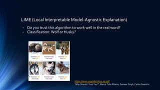 LIME (Local Interpretable Model-Agnostic Explanation)
• Do you trust this algorithm to work well in the real word?
• Classification: Wolf or Husky?
https://arxiv.org/abs/1602.04938
"Why Should I Trust You?”, Marco Tulio Ribeiro, Sameer Singh, Carlos Guestrin
 