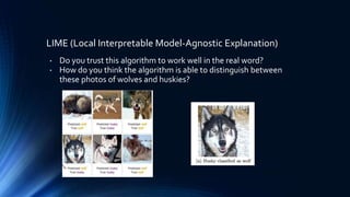 LIME (Local Interpretable Model-Agnostic Explanation)
• Do you trust this algorithm to work well in the real word?
• How do you think the algorithm is able to distinguish between
these photos of wolves and huskies?
 
