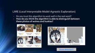 • Do you trust this algorithm to work well in the real word?
• How do you think the algorithm is able to distinguish between
these photos of wolves and huskies?
LIME (Local Interpretable Model-Agnostic Explanation)
Snow detector!!!
 