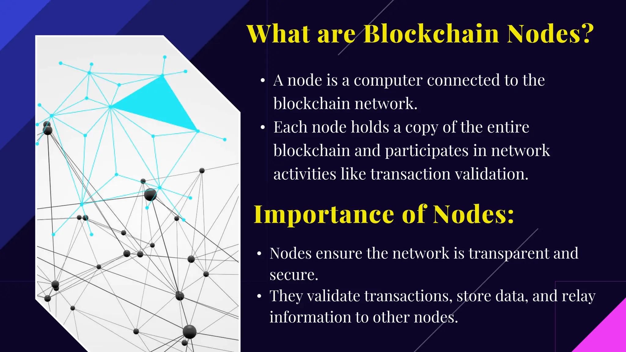 Explained Blockchain Nodes: What You Need to Know | PPTX