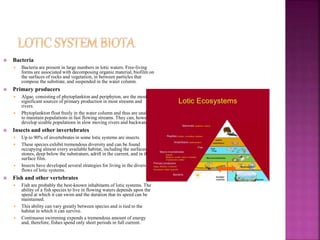 Lotic System Examples freshwater habitat with ecological classification of freshwater animals ...