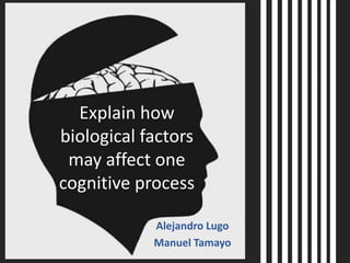 Explain how
biological factors
may affect one
cognitive process
Alejandro Lugo
Manuel Tamayo

 